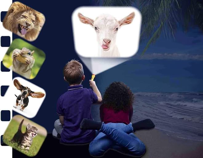 Brainstorm Funny Animals Torch & Projector