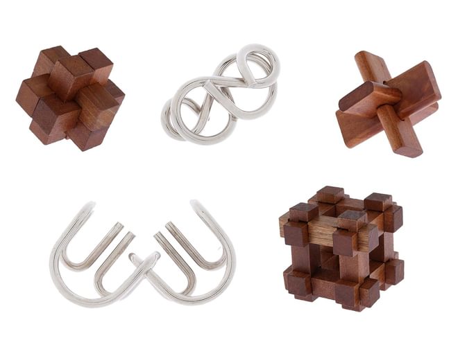 Professor Puzzle Great Minds - 5 Puzzle Set