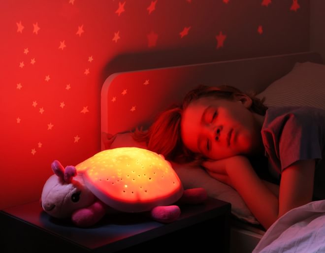 Twilight Ladybug