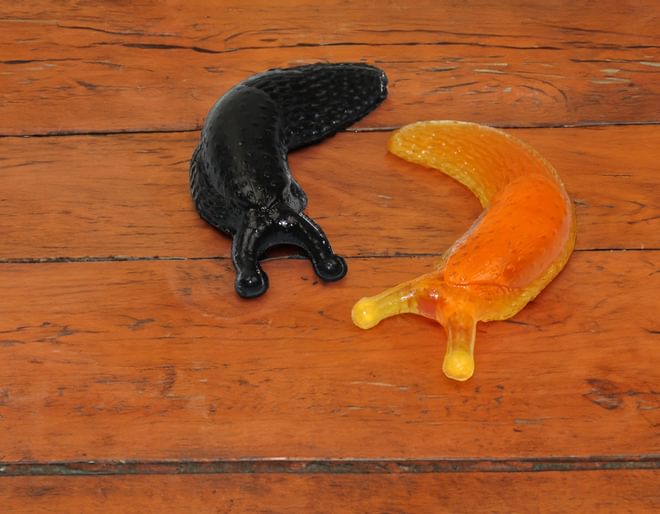 Sticky slug toy on sale