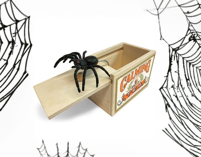 House of Marbles Spider Surprise