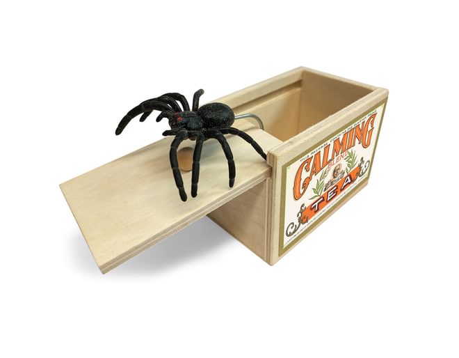 Spider Surprise Toy