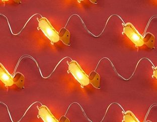 Sausage Dog Lights