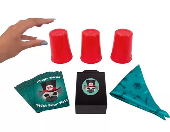 Fizz Creations Magic Tricks With Your Pet