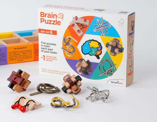 Brain Puzzle Set of 6