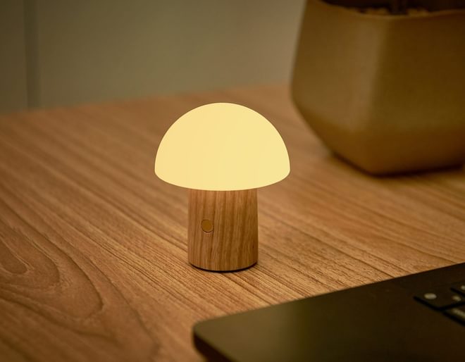Light Up Mushroom Lamp