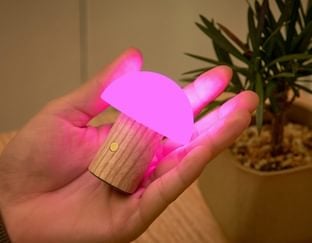 Super Mini Mushroom Light