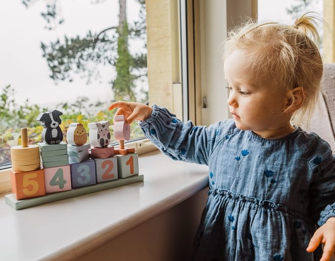 Farmyard Counting Game Lifestyle