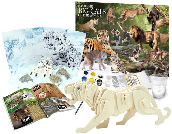 Extreme Big Cats Of The World