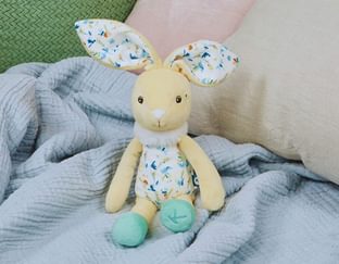 Justin the Rabbit