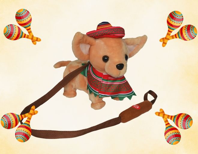 Macarena Chihuahua