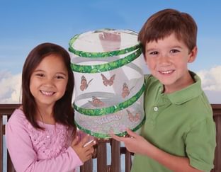 Live Butterfly Garden