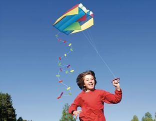 Pocket Kite