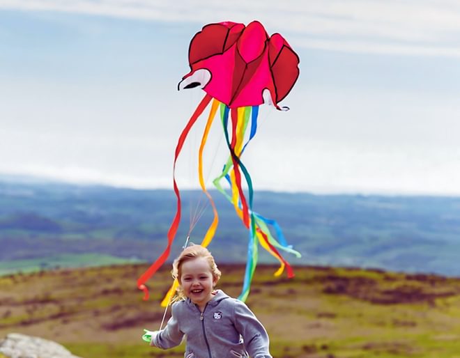 Octopus Kite