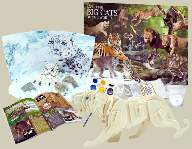 Extreme Big Cats Of The World