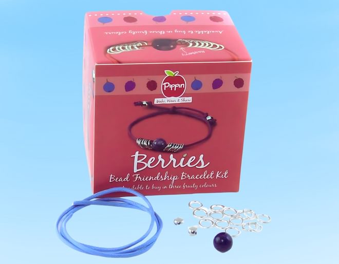 Bead Friendship Bracelet Kit Blueberry
