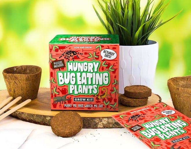 Hungry Bug Eating Plants