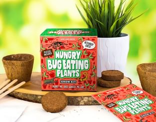Hungry Bug Eating Plants