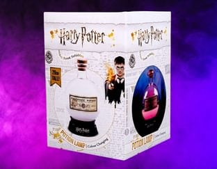 Harry Potter Potion Lamp