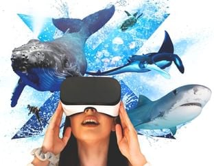 Let's Explore Oceans VR