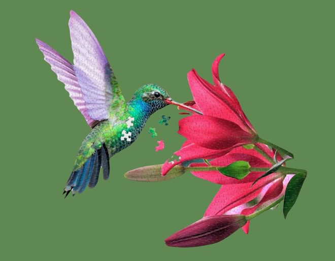 Hummingbird Shaped 300 Piece Puzzle