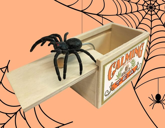 House of Marbles Spider Surprise