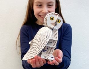 Build Your Own Snowy Owl