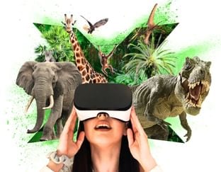 Let's Explore Wildlife Virtual Reality Set