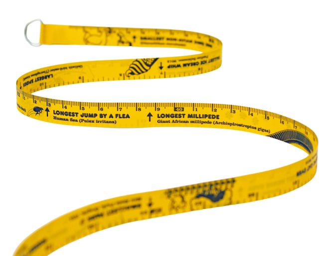 Fun Tape Measure