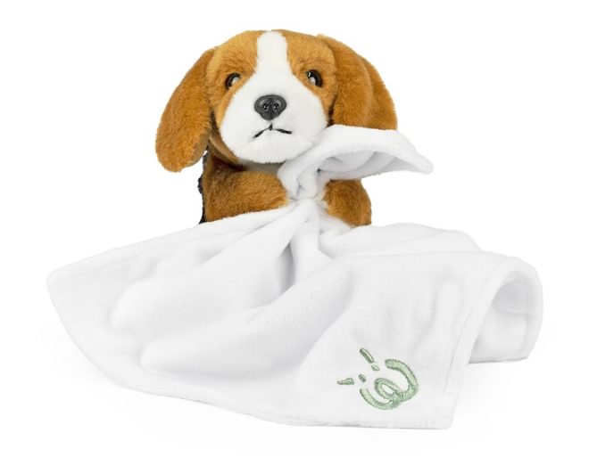 Baby Beagle with comfort Blanket