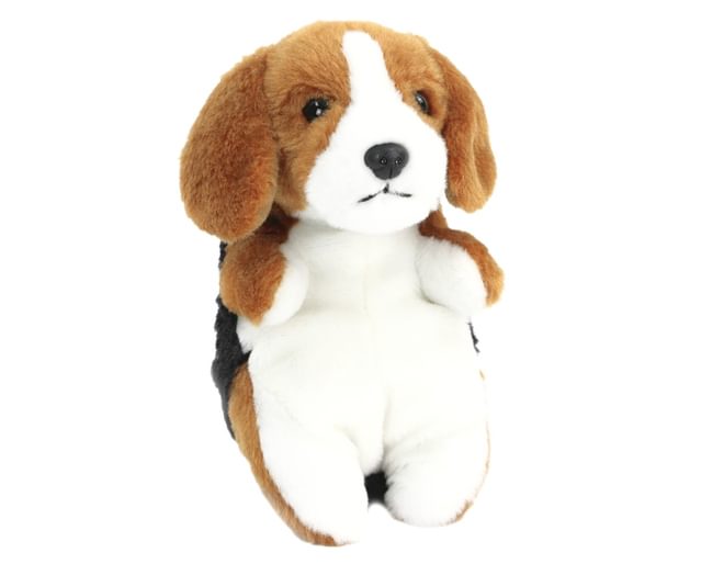 Baby Beagle with Blanket