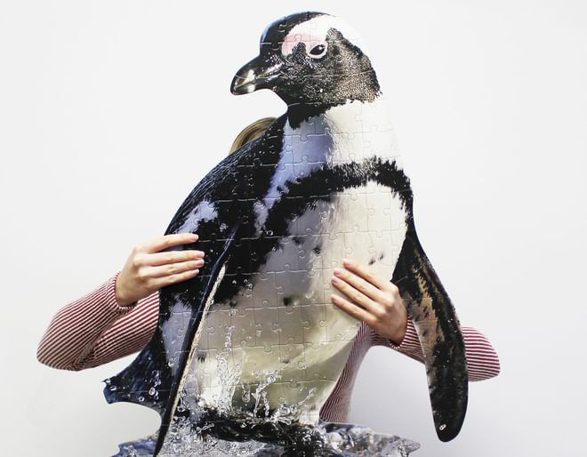 I Am Lil' Penguin