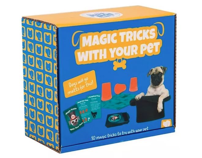 Gift for 10 year old animal lover best sale