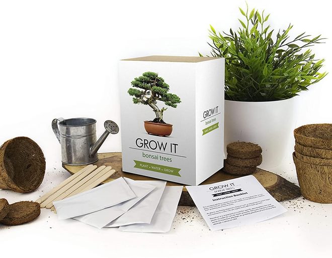 Grow It Bonsai Trees