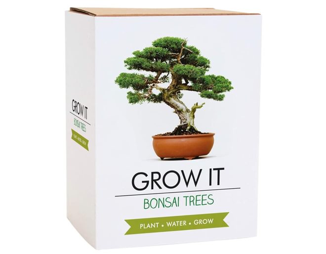 Grow It Bonsai Trees Contents
