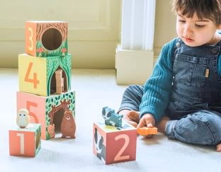 Woodland Animal Staking Cubes