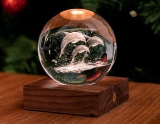 Dolphins Crystal Light