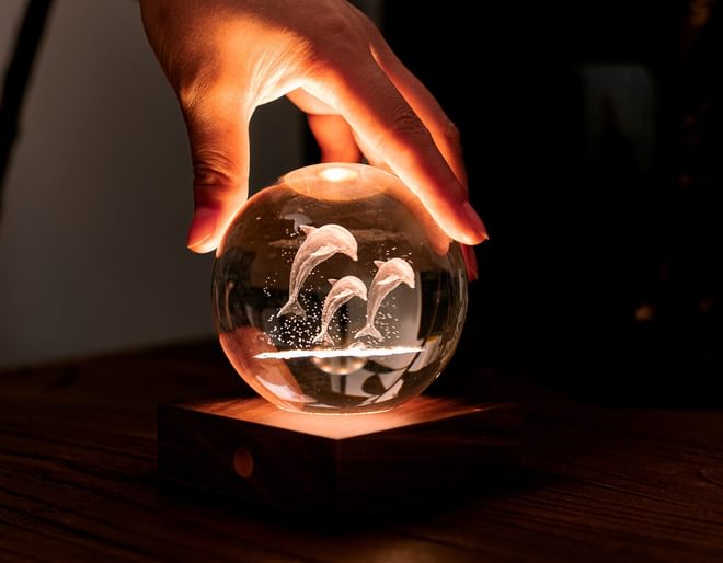 Gingko Dolphins Crystal Light