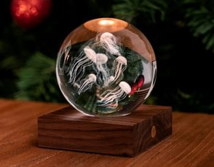 Jellyfish Crystal Light