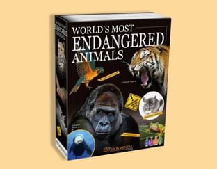 World's Most Endangered Animals