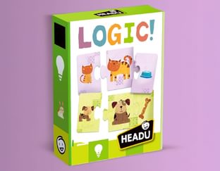 Logic A Game for Young Children