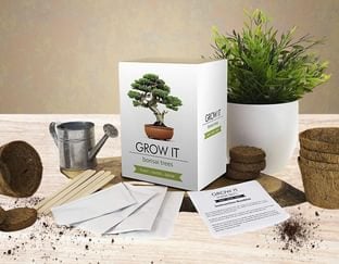 Grow It Bonsai Trees