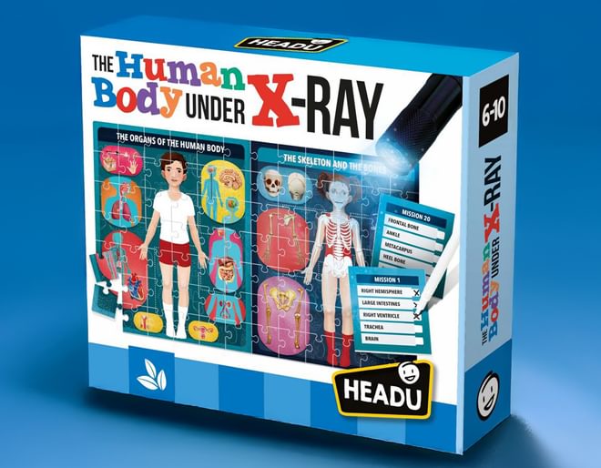 The Human Body Under X-Ray