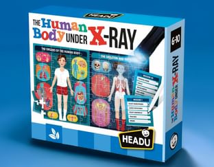 The Human Body Under X-Ray