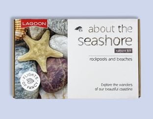 About the Seashore