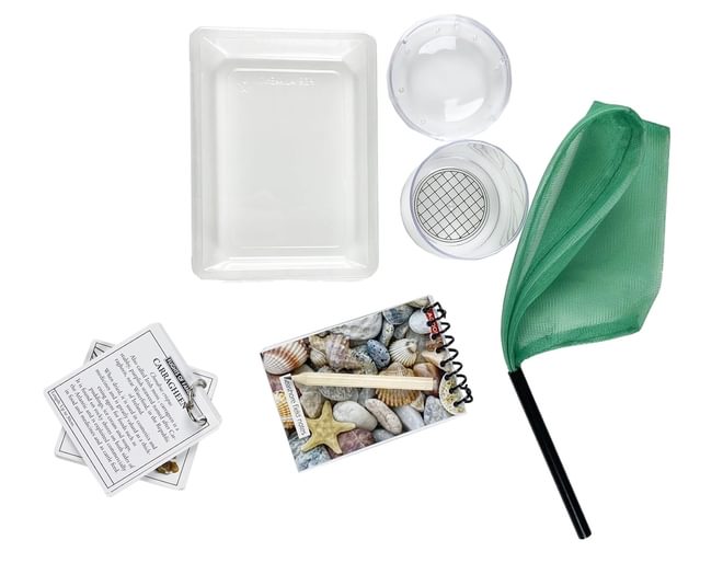 About the Seashore Contents