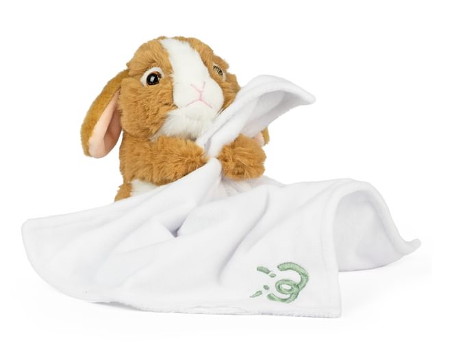 Baby Bunny Soft Toy