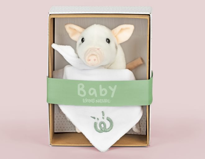 Baby Piglet with Blanket