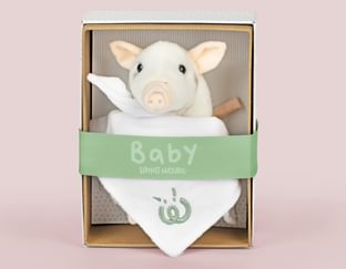 Baby Piglet with Blanket