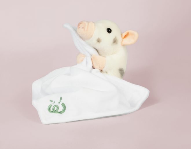 Living Nature Baby Piglet with Blanket